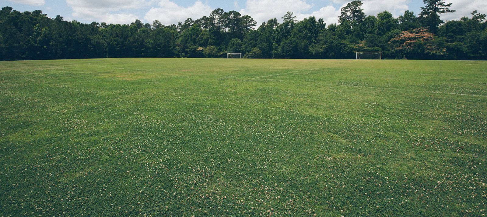 FC Friedrichshagener Wölfe