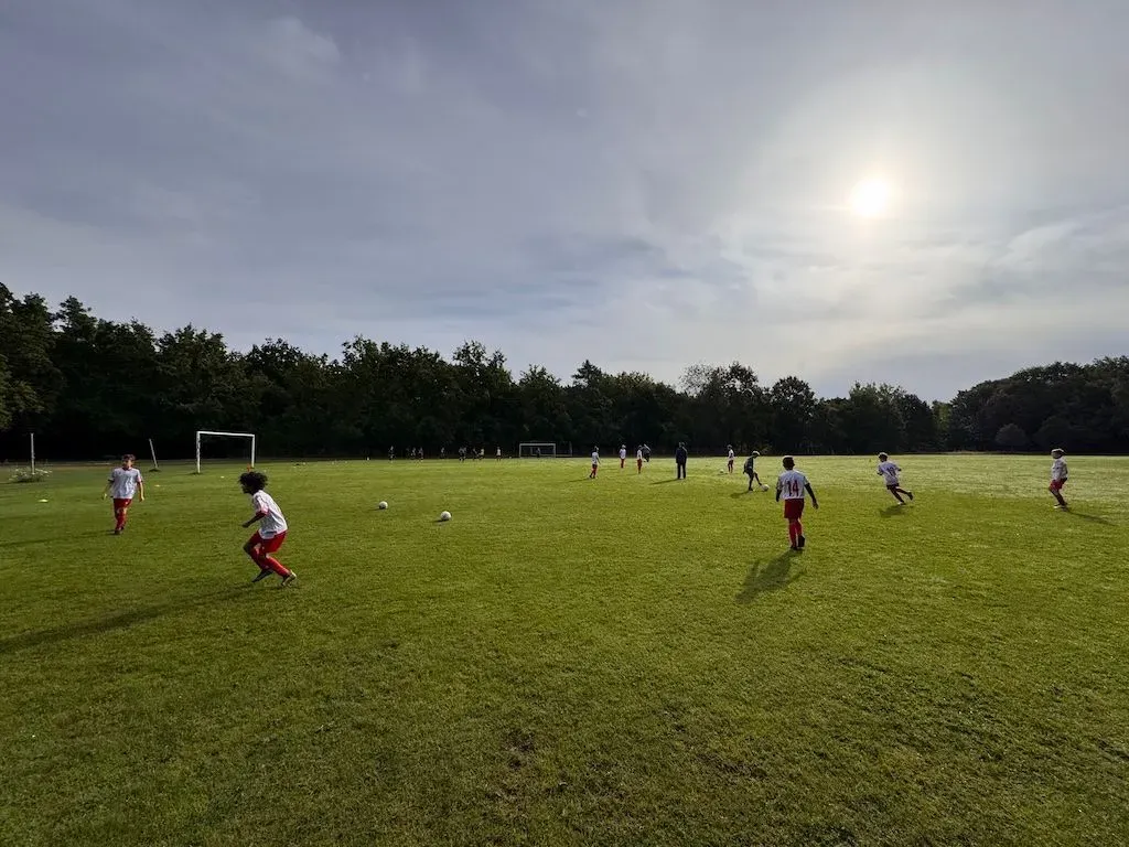 Wölfe starten in neue Wettkampf-Saison