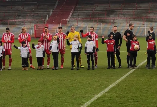 Wölfe auf dem Rasen der Alten Försterei